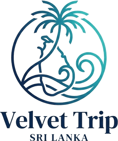 Velvet Trip