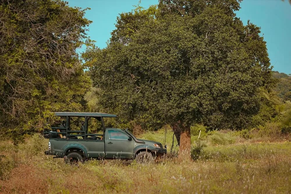 Yala - Image 5