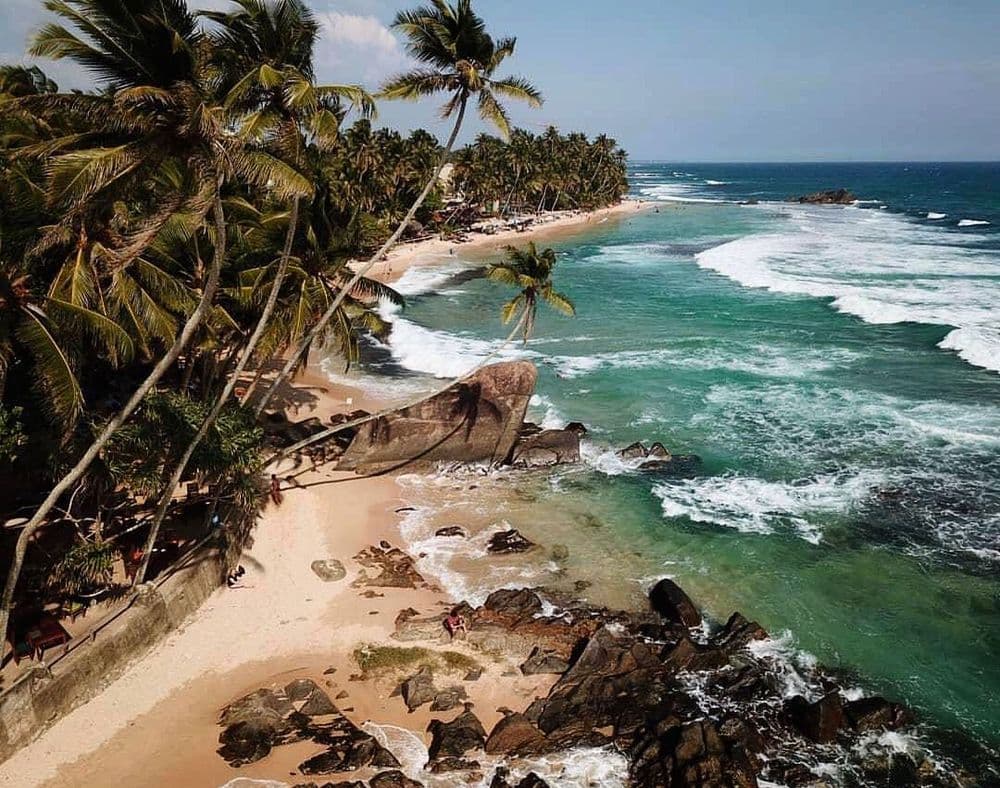 Galle - Image 3