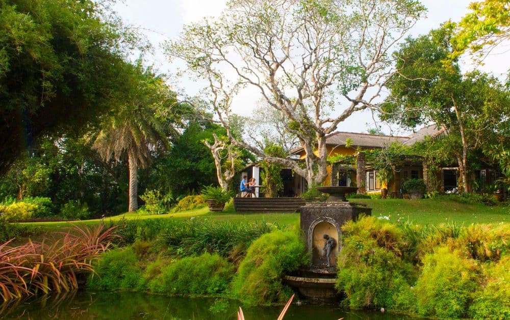 Kandy - Image 2
