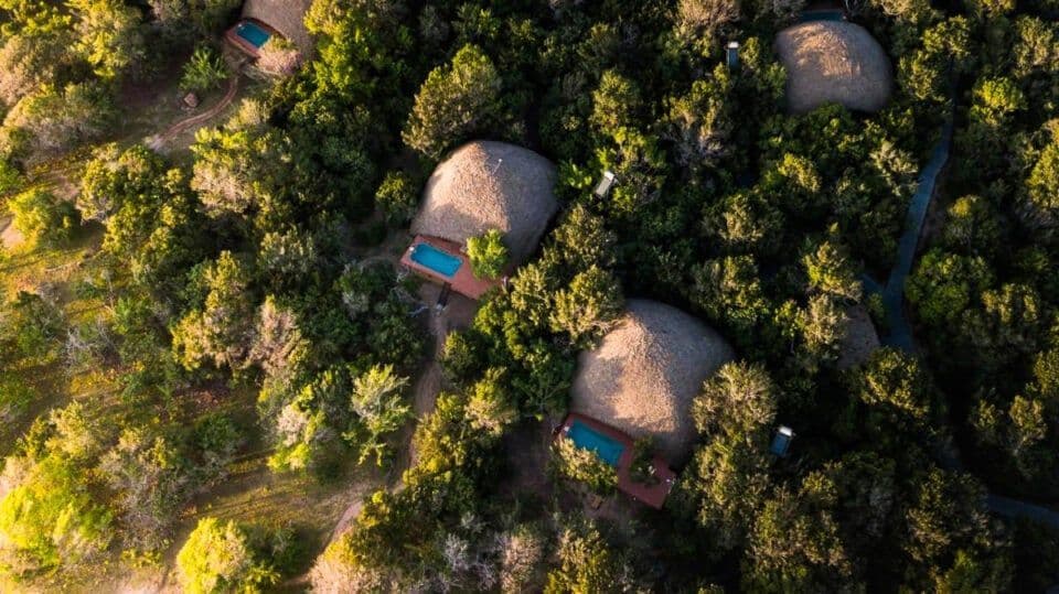 Luxus trifft Natur: Die besten Eco-Resorts in Sri Lanka