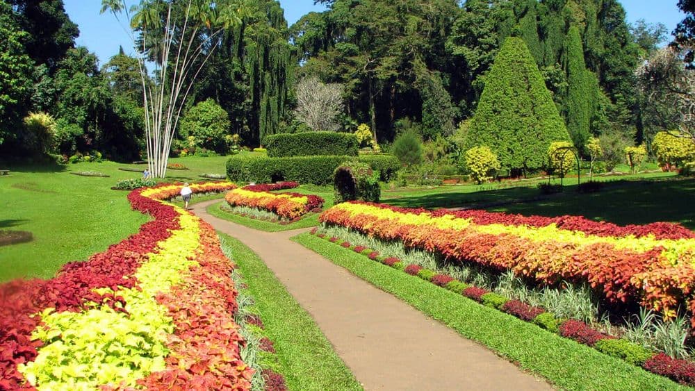 Kandy - Image 3
